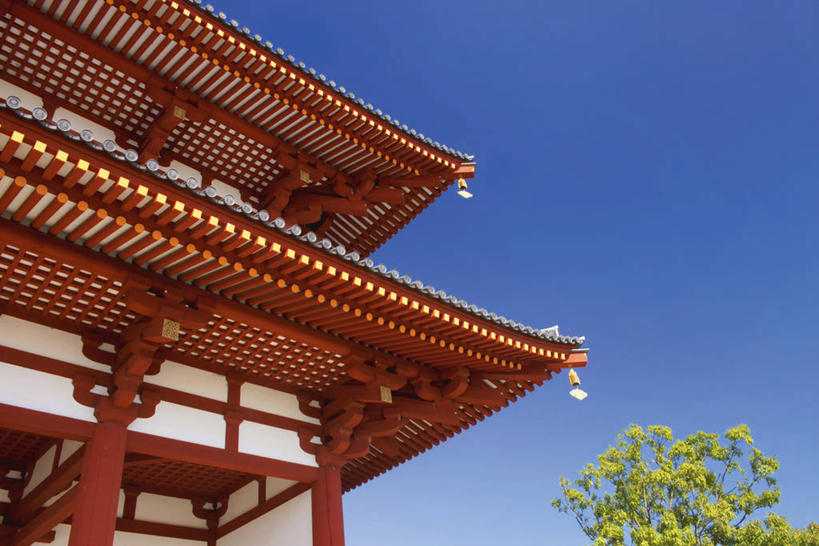 无人,横图,室外,白天,仰视,旅游,度假,植物,标志建筑,地标,建筑,奈良县,日本,亚洲,阴影,光线,瓦片,影子,堡垒,城堡,屋顶,顶棚,瓦,娱乐,建设,树,树木,蓝色,绿色,蓝天,天空,阳光,自然,天,享受,休闲,旅游胜地,放松,建造,生长,晴朗,成长,要塞,东亚,屋瓦,本州,万里无云,本州岛,日本国,近畿地方,奈良,近畿,县厅,设防,奈良市,晴空,晴空万里,彩图,低角度拍摄