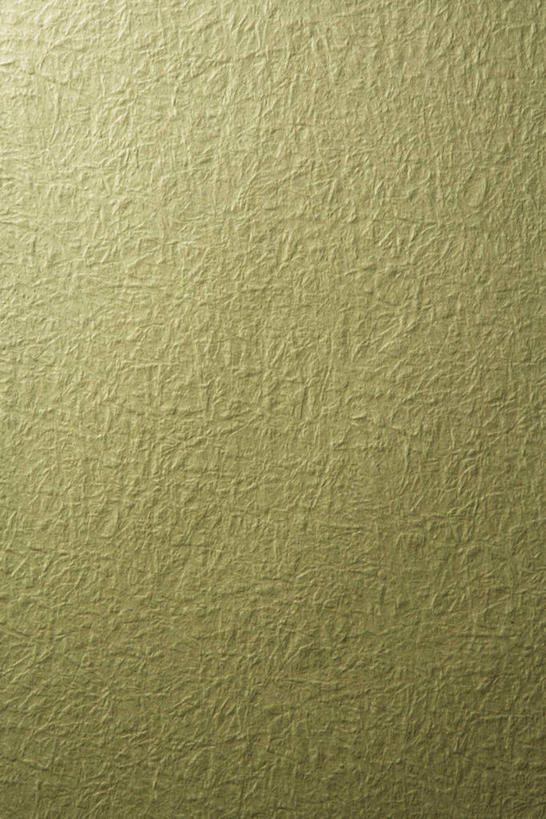 无人,竖图,室内,特写,白天,正面,静物,新鲜,纹路,纹理,纸,纸张,绿色,青春,生命,和平,安详,肌理,冷色,彩图