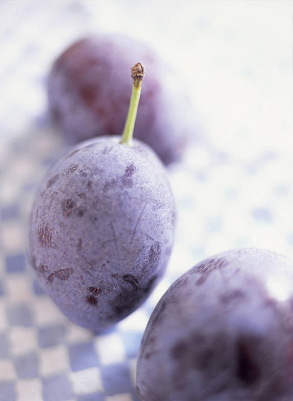 无人,竖图,俯视,室内,特写,白天,水果,阴影,朦胧,模糊,新鲜,反射,影子,生食,食品,果实,酸梅,食物,三个,紫色,青梅,有机食品,绿色食品,梅子,果梅,彩图,高角度拍摄