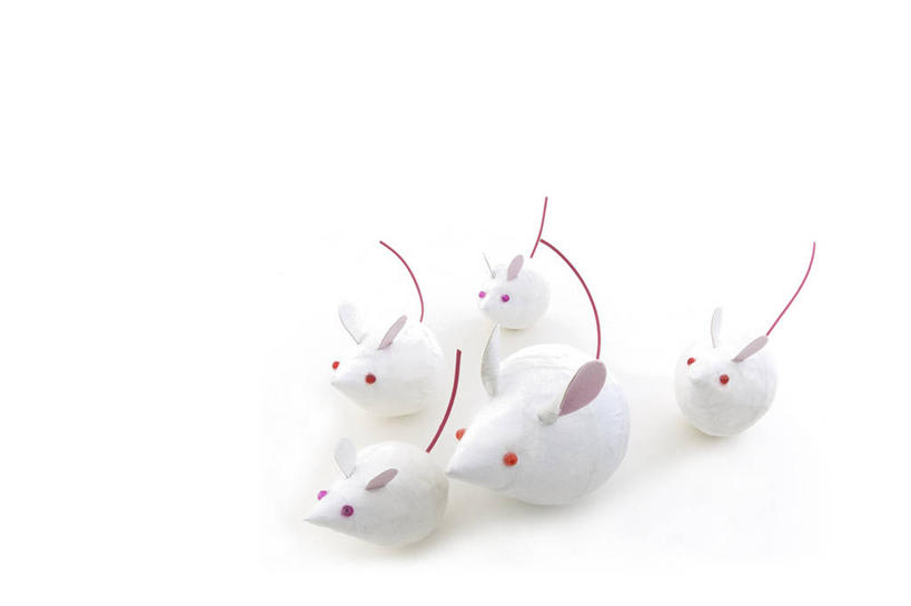 无人,横图,俯视,室内,特写,白天,白色背景,游戏,静物,玩具,纸,玩,文化,娱乐,传统,十二生肖,动物,休闲,属相,益智,摄影,生肖,影棚,五只,活动,鼠,发泄,消遣,智力,宣泄,兽历,玩耍,嬉戏,彩图,高角度拍摄,全身,影棚拍摄,拍摄