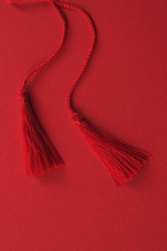 无人,竖图,俯视,室内,特写,白天,静物,阴影,红色背景,反射,影子,两个,红色,摄影,流苏,影棚,穗,彩图,高角度拍摄,影棚拍摄,拍摄