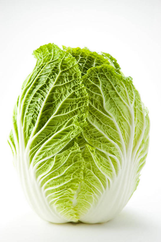 无人,竖图,室内,特写,白天,白色背景,正面,蔬菜,阴影,新鲜,反射,影子,大白菜,食品,白菜,食物,一个,摄影,有机食品,绿色食品,影棚,单个,结球白菜,胶菜,彩图,影棚拍摄,拍摄,黄芽白