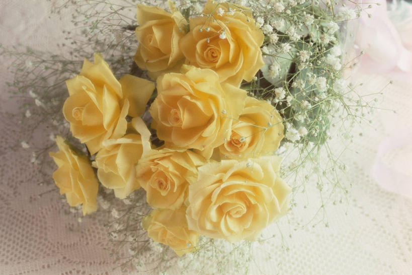 无人,横图,俯视,室内,特写,白天,爱情,幸福,纯洁,热情,玫瑰,许多,阴影,盛开,反射,影子,玫瑰花,很多,浪漫,花蕾,黄玫瑰,花,花瓣,花朵,鲜花,黄色,花苞,花蕊,温暖,温馨,恩爱,和睦,感动,尊敬,天真,刺玫花,徘徊花,彩图,高角度拍摄,融洽