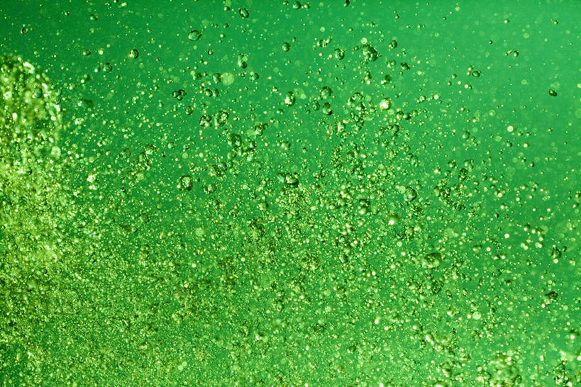 无人,横图,室内,特写,白天,正面,水,新鲜,液体,水滴,绿色,青春,生命,和平,安详,冷色,彩图