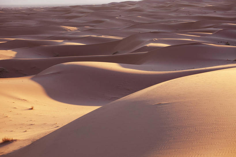 无人,横图,室外,白天,正面,旅游,度假,美景,沙漠,非洲,摩洛哥,阴影,光线,影子,景观,娱乐,黄色,阳光,自然,享受,休闲,景色,放松,自然风光,阿非利加洲,摩洛哥王国,大漠,砂漠,彩图,撒哈拉沙丘