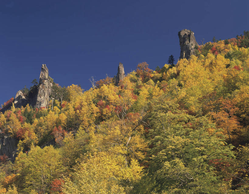 无人,公园,横图,室外,白天,仰视,旅游,度假,石头,美景,树林,植物,北海道,日本,亚洲,阴影,光线,石子,影子,景观,娱乐,树,树木,蓝色,绿色,蓝天,天空,阳光,自然,天,享受,休闲,景色,放松,生长,晴朗,成长,自然风光,东亚,万里无云,日本国,北海道地方,北海道岛,国立公园,层云峡,石块,岩石,晴空,晴空万里,彩图,低角度拍摄,大雪山国立公园