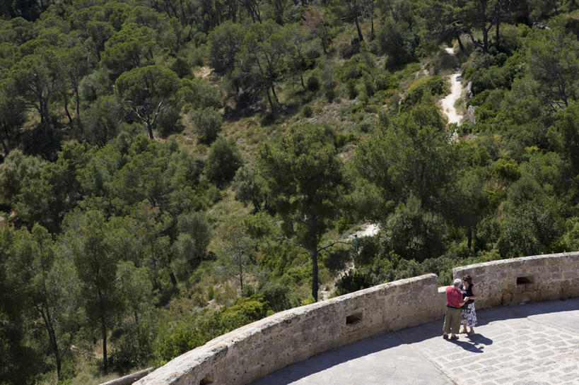 西方人,两个人,横图,俯视,室外,白天,旅游,度假,建材,名胜古迹,树林,植物,标志建筑,地标,建筑,西班牙,欧洲,欧洲人,行人,游客,游人,阴影,遗迹,光线,材料,影子,砖,砖块,堡垒,城堡,墙,古迹,文物,娱乐,建设,古建筑,路人,旅客,墙壁,墙面,树,树木,绿色,阳光,自然,享受,休闲,砖头,旅游胜地,放松,建造,生长,成长,要塞,南欧,古文明,帕尔马,马略卡岛,西班牙王国,贝利韦尔城堡,巴利阿里群岛,马略卡,巴利阿里,过客,设防,男人,男性,年轻男性,年轻女性,女人,女性,白种人,石料,彩图,高角度拍摄,全身,砌墙砖,马洛卡岛,贝尔弗城堡