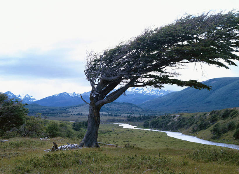 无人,横图,室外,白天,正面,旅游,度假,草地,草坪,河流,美景,山,山脉,水,植物,阿根廷,河水,景观,山峰,水流,云,云朵,山峦,云彩,娱乐,草,树,树木,蓝色,绿色,白云,蓝天,天空,自然,群山,天,享受,休闲,景色,南美,放松,生长,晴朗,成长,南美洲,拉丁美洲,自然风光,美洲,亚美利加洲,南亚美利加洲,阿根廷共和国,火地岛,晴空,彩图