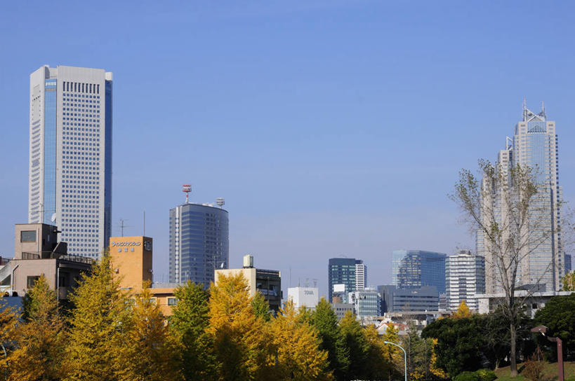 无人,公园,高楼大厦,横图,全景,室外,白天,正面,度假,美景,树林,天际线,植物,城市风光,城市,大厦,建筑,摩天大楼,东京,日本,亚洲,阴影,光线,影子,景观,娱乐,树,树木,蓝色,绿色,蓝天,天空,阳光,自然,天,享受,休闲,景色,放松,生长,晴朗,成长,东亚,本州,万里无云,关东地方,本州岛,日本国,东京都,涩谷,涉谷,涩谷区,代代木公园,晴空,晴空万里,彩图,大楼,高层建筑,高楼,摩天楼