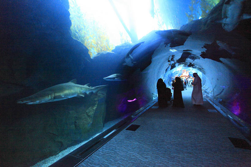 游泳,西方人,三个人,站,横图,室内,白天,正面,度假,海底,水下,海浪,海洋,美景,窗户,落地窗,城市风光,城市,欧洲,阿联酋,欧洲人,亚洲,行人,游客,游人,表演,阴影,服装,反射,鱼,影子,景观,浪花,水底,走道,走廊,过道,背光,休闲装,娱乐,鱼类,路人,旅客,玻璃窗,水族馆,衣服,海水,站着,享受,休闲,休闲服,展示,景色,放松,海底世界,服饰,展览,饲养,西亚,逆光,海景,阿拉伯联合酋长国,迪拜,收集,泅水,杜拜,拍浮,极地海洋世界,过客,迪拜购物中心,男人,男性,年轻男性,年轻女性,女人,女性,白种人,大海,风浪,海,海床,海水的波动,近岸浪,涌浪,站立,彩图,全身