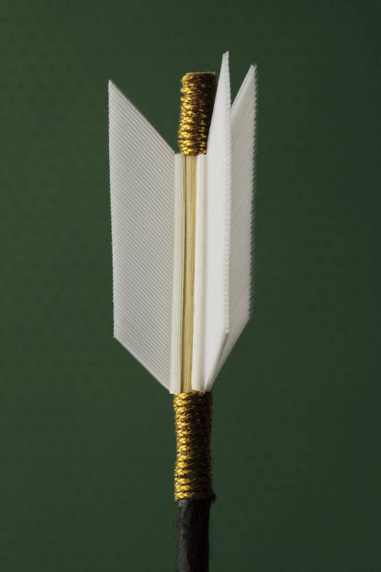 无人,竖图,室内,特写,白天,正面,静物,绿色背景,阴影,反射,影子,白色,箭,摄影,影棚,彩图,影棚拍摄,拍摄,箭羽