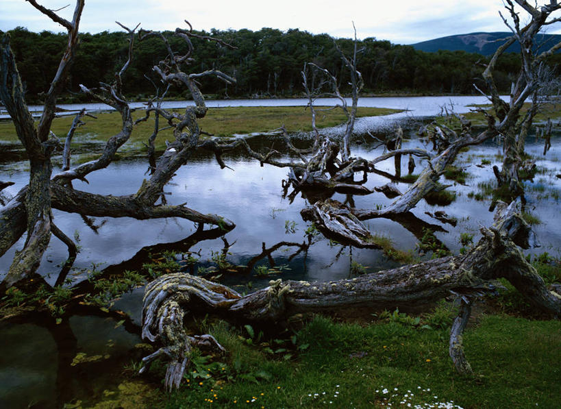 无人,家,横图,室外,白天,正面,旅游,度假,河流,美景,水,阴影,光线,影子,房屋,屋子,草屋,河水,景观,水流,云,云朵,枝条,云彩,娱乐,住宅,树枝,蓝色,白云,蓝天,天空,阳光,自然,茅草屋,天,享受,休闲,景色,南美,放松,晴朗,南美洲,拉丁美洲,自然风光,美洲,亚美利加洲,南亚美利加洲,火地岛,虬枝,枝杈,晴空,彩图,房子,茅舍,茅屋,小屋
