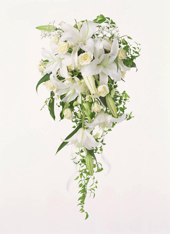 无人,竖图,室内,白天,白色背景,正面,阴影,盛开,反射,捧花,手捧花,影子,花蕾,花,花瓣,花朵,鲜花,白色,花束,花苞,花蕊,一束,摄影,影棚,婚礼捧花,彩图,影棚拍摄,拍摄