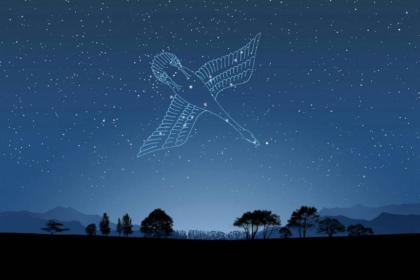 无人,家,横图,室内,夜晚,正面,数码,宇宙,科技,植物,阴影,网络,房屋,屋子,星星,背光,高光,几何,计算机图形,合成,楼房,住宅,树,树木,一个,蓝色,绿色,自然,星座,生长,单个,成长,电脑合成图,数码合成图,恒星,合成图,天文,占卜,逆光,天文学,写实,具体,具象,星相,占星,天鹅座,彩图,房子