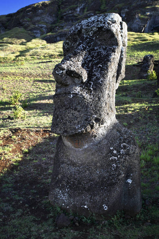 无人,公园,竖图,室外,白天,正面,旅游,度假,草地,草坪,美景,植物,雕塑,复活节岛,智利,阴影,艺术,装饰,光线,雕刻,雕像,影子,景观,娱乐,草,一个,绿色,阳光,自然,工艺品,享受,休闲,景色,南美,放松,单个,纪念,美术,南美洲,国家公园,拉丁美洲,自然风光,主题,美洲,陈列,波利尼西亚,功能,美学,亚美利加洲,南亚美利加洲,复活岛,智利共和国,拉帕.努伊国家公园,拉帕努伊国家公园,波利尼西亚群岛,彩图,赫布亚岛,拉帕努伊岛,帕赛兰,伊斯特岛