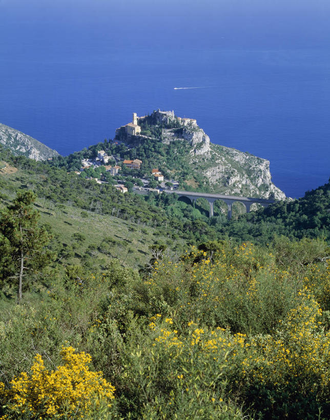 无人,竖图,室外,白天,正面,旅游,度假,草地,草坪,海浪,海洋,花海,花圃,美景,植物,叶子,法国,欧洲,盛开,景观,浪花,花蕾,娱乐,草,花,花瓣,花朵,花卉,鲜花,黄色,绿色,自然,海水,花丛,花束,花田,花苞,花蕊,享受,休闲,景色,放松,西欧,法兰西,自然风光,海景,法兰西共和国,蓝色海岸,法兰西第五共和国,普罗旺斯.阿尔卑斯.蓝色海岸,普罗旺斯.阿尔卑斯.蓝色海岸大区,大海,风浪,海,海水的波动,近岸浪,涌浪,彩图