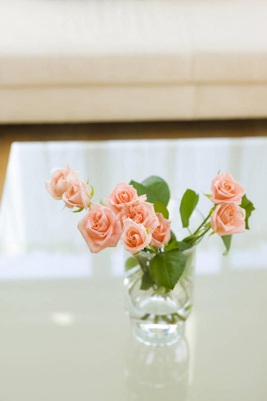 无人,客厅,竖图,俯视,室内,特写,白天,地板,沙发,桌子,花瓶,玻璃,阴影,朦胧,模糊,盛开,反射,影子,地面,花蕾,茶几,木地板,玻璃制品,花,花瓣,花朵,鲜花,一个,粉色,玻璃瓶,瓶子,花苞,花蕊,单个,起居室,布艺沙发,客堂,彩图,高角度拍摄