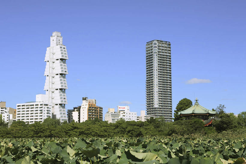 无人,公园,高楼大厦,横图,室外,白天,仰视,度假,美景,城市风光,城市,大厦,建筑,摩天大楼,叶子,东京,日本,亚洲,一堆,许多,阴影,堆叠,堆积,光线,影子,景观,云,云朵,建筑群,荷叶,很多,云彩,娱乐,建设,蓝色,白云,蓝天,天空,阳光,天,享受,休闲,景色,放松,晴朗,堆,东亚,本州,关东地方,本州岛,日本国,东京都,莲叶,东京上野公园,台东区,叶,叶片,晴空,彩图,低角度拍摄,大楼,高层建筑,高楼,摩天楼,上野,上野恩赐公园,上野公园