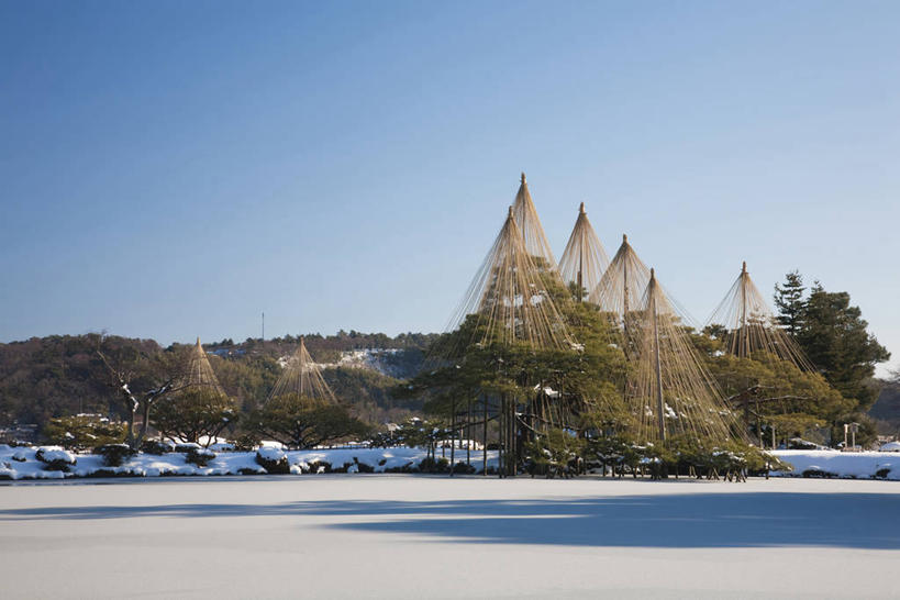 无人,横图,室外,白天,正面,旅游,度假,美景,树林,雪,植物,大雪,日本,亚洲,阴影,光线,影子,积雪,景观,雪景,冬季,冬天,娱乐,树,树木,蓝色,绿色,蓝天,天空,阳光,自然,天,享受,休闲,景色,放松,寒冷,生长,晴朗,成长,自然风光,东亚,金泽,本州,万里无云,本州岛,日本国,金沢,金沢市,石川,石川县,中部地方,兼六园,严寒,县厅,晴空,晴空万里,彩图,金泽市