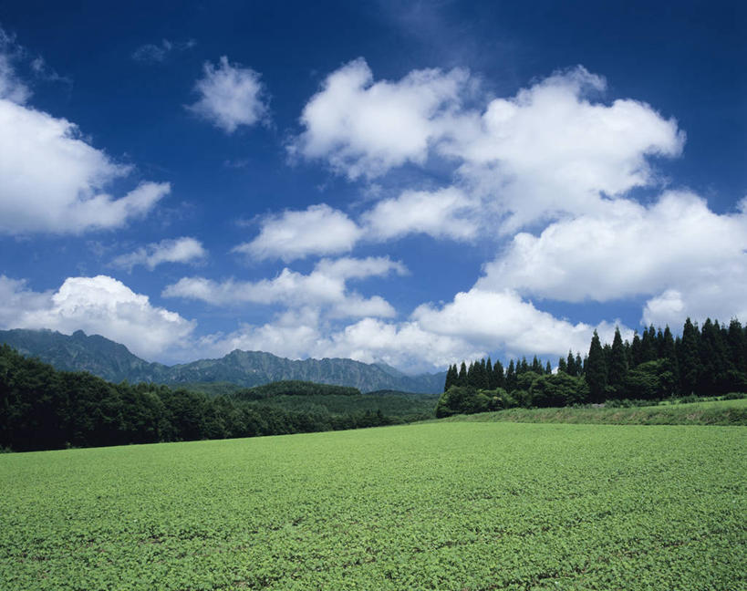 无人,公园,横图,室外,白天,正面,旅游,度假,草地,草坪,美景,植物,长野县,日本,亚洲,阴影,光线,影子,景观,云,云朵,云彩,娱乐,草,树,树木,蓝色,绿色,白云,蓝天,天空,阳光,自然,天,享受,休闲,景色,放松,生长,晴朗,成长,自然风光,东亚,本州,关东地方,本州岛,日本国,中部地方,群马,群马县,长野,新潟,新潟县,国立公园,晴空,彩图,上信越高原国立公园,户隐高原