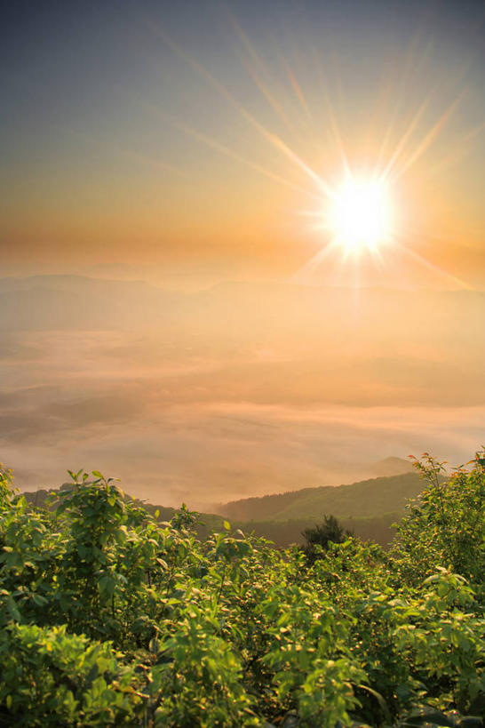 无人,竖图,室外,白天,正面,旅游,度假,美景,日落,山,山脉,树林,太阳,植物,日本,亚洲,景观,山峰,晚霞,霞光,云,云朵,云海,落日,山峦,云层,云彩,娱乐,树,树木,绿色,白云,自然,黄昏,群山,享受,休闲,景色,彩霞,放松,生长,成长,自然风光,东亚,本州,本州岛,日本国,青森,青森县,东北地方,夕照,薄暮,自然景观,夕阳,彩图,傍晚,斜阳,八甲田山