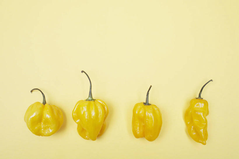 无人,横图,室内,特写,白天,正面,辣椒,蔬菜,阴影,黄色背景,新鲜,反射,影子,食品,食物,黄色,四个,摄影,有机食品,绿色食品,影棚,黄辣椒,彩椒,辣角,红海椒,大椒,辣虎,广椒,甜椒,柿子椒,辣子,海椒,番椒,灯笼椒,彩图,影棚拍摄,拍摄,黄灯笼辣椒,黄帝椒
