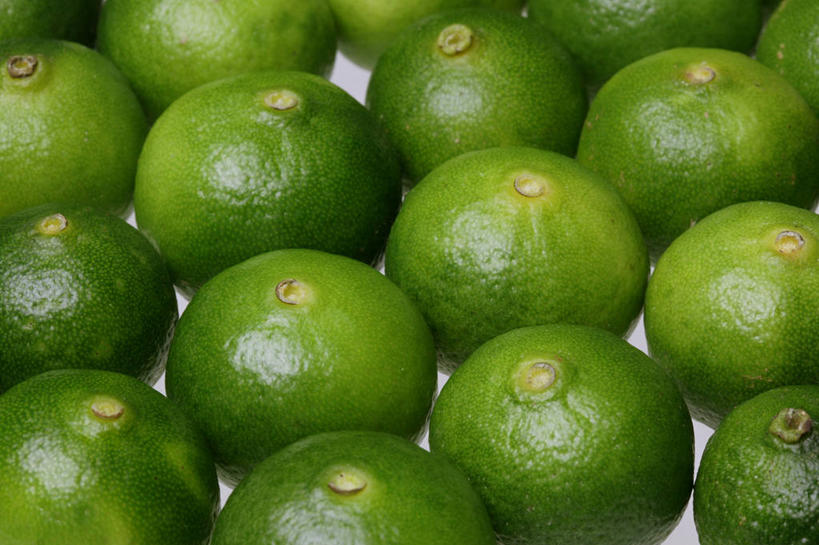 无人,横图,俯视,室内,特写,白天,水果,一排,许多,阴影,新鲜,整齐,并列,并排,反射,影子,生食,食品,果实,很多,食物,排列,绿色,有机食品,绿色食品,队列,平行,酸橙,代代,橙子,橙,彩图,高角度拍摄