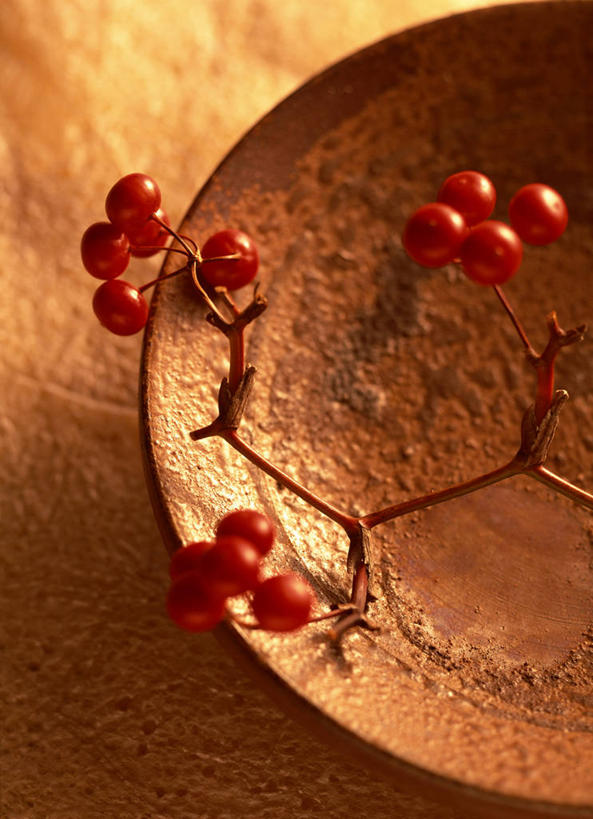 无人,竖图,俯视,室内,特写,白天,餐具,水果,许多,阴影,新鲜,反射,碟子,盘,影子,生食,食品,果实,枝条,很多,树枝,食物,一个,红色,盘子,碟,山楂,摄影,有机食品,绿色食品,影棚,褐色背景,单个,虬枝,枝杈,红果,彩图,高角度拍摄,影棚拍摄,拍摄