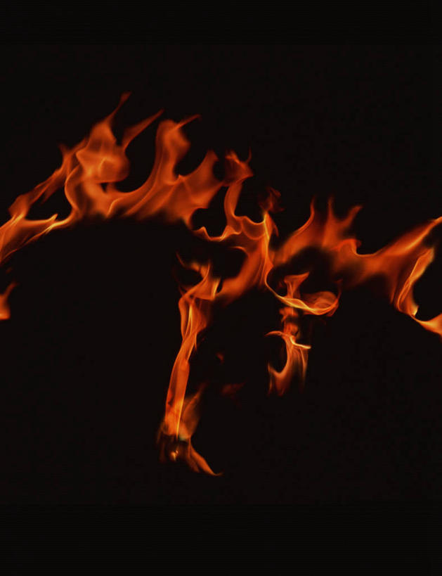无人,竖图,室内,特写,白天,正面,热情,火,阴影,黑色背景,光线,火焰,影子,燃烧,红色,点燃,摄影,影棚,火光,彩图,影棚拍摄,拍摄