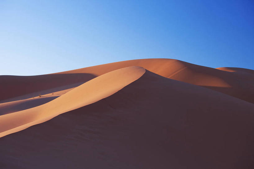 无人,横图,室外,白天,正面,旅游,度假,美景,沙漠,非洲,摩洛哥,阴影,光线,影子,景观,褐色,娱乐,蓝色,蓝天,天空,阳光,自然,天,享受,休闲,景色,放松,晴朗,自然风光,万里无云,阿非利加洲,摩洛哥王国,大漠,砂漠,晴空,晴空万里,彩图,撒哈拉沙丘