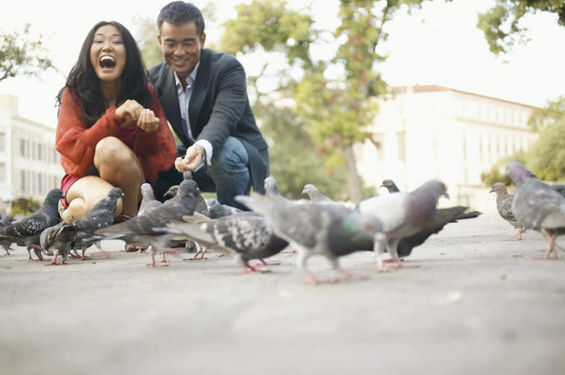 东方人,两个人,夫妻,蹲,抱,笑,微笑,露齿笑,横图,室外,白天,仰视,衬衫,西装,兴奋,地板,建筑,鸽子,亚洲,喂食,连衣裙,朦胧,模糊,包,地面,拿,拿着,注视,黄种人,拎包,树,树木,自然,低头,观察,看,喂,恋人,生长,成长,观看,察看,情人,关注,爱人,男人,男性,年轻男性,年轻女性,女人,女性,亚洲人,夫妇,蹲着,搂,搂抱,彩图,低角度拍摄,全身,衬衣,高楼