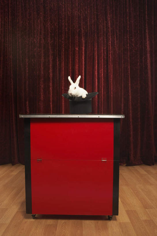 无人,竖图,室内,白天,正面,地板,桌子,哺乳动物,兔子,地面,木地板,一只,红色,动物,帷幕,兔,魔术帽,帷幔,幕布,幕帘,帷幔布,彩图,全身