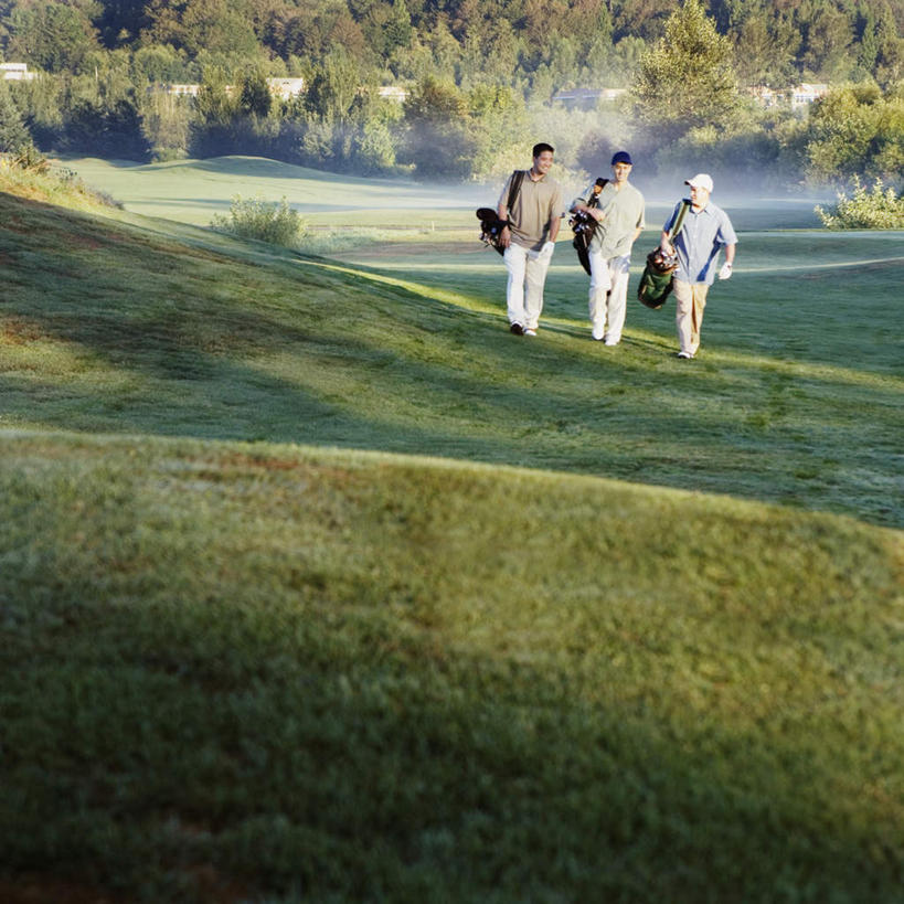 西方人,背,三个人,伙伴,朋友,站,笑,微笑,露齿笑,方图,室外,白天,正面,锻炼,友谊,运动,草地,草坪,植物,雾,帽子,欧洲,欧洲人,撑,戴,服装,朦胧,模糊,高尔夫,高尔夫球,击球,包,球袋,球杆,注视,休闲装,高尔夫球场,草,衣服,绿色,背着,观察,看,站着,休闲,休闲服,服饰,观看,单肩包,钉耙,察看,耙子,撑着,关注,体育,友情,男人,男性,年轻男性,白种人,大雾,彩图,全身,健身