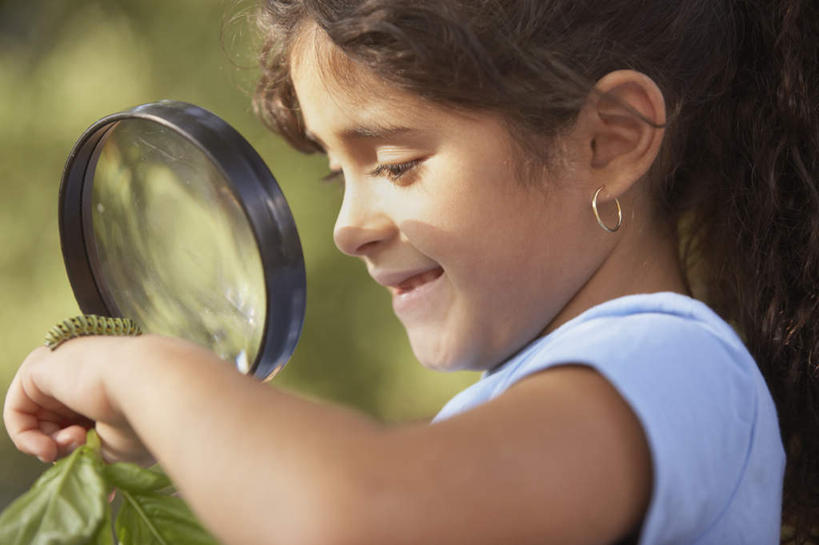 西方人,儿童,脸,头,脸颊,一个人,站,笑,微笑,露齿笑,横图,室外,特写,白天,侧面,纯洁,仪器,植物,叶子,欧洲,欧洲人,仅一个女性,仅一个人,阴影,服装,检查,朦胧,模糊,反射,分析,光线,科学,昆虫,放大镜,影子,拿,拿着,注视,休闲装,肩膀,树,树木,一个,小孩,衣服,绿色,阳光,自然,观察,看,站着,仅一个小孩,休闲,休闲服,虫,可爱,清晰,探索,童年,童趣,服饰,毛毛虫,放大,单个,观看,仔细,透镜,察看,凸透镜,聚焦,关注,童真,烂漫,无邪,光学,清楚,天真,女孩,女人,女性,白种人,头部,脸部,脸蛋,面部,半身,彩图