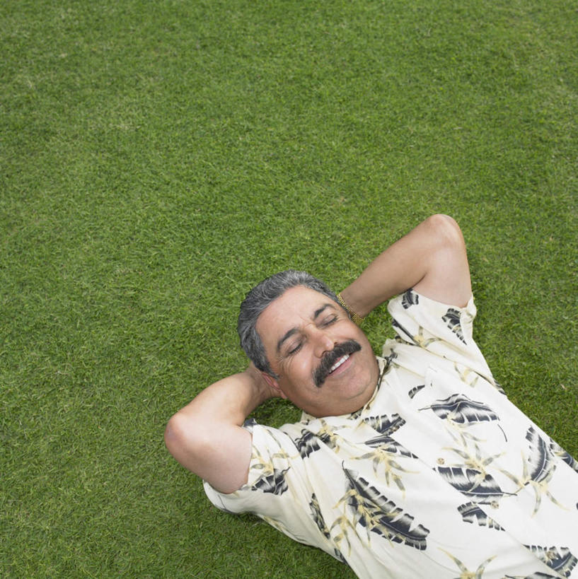 西方人,一个人,躺,闭眼,笑,微笑,露齿笑,竖图,俯视,室外,白天,民族服装,衬衫,草地,草坪,植物,欧洲,欧洲人,仅一个男性,仅一个人,仅一个中年男性,抱头,草,绿色,双手抱头,捧首,捧头,卧着,男人,男性,中年男性,白种人,闭眼睛,闭着眼,闭着眼睛,躺着,卧,半身,彩图,高角度拍摄,衬衣,传统服装,民俗服,夏威夷衬衫
