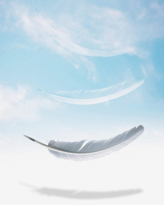 无人,竖图,室内,白天,正面,数码,科技,羽毛,一根,阴影,轻盈,柔软,网络,云,云朵,高光,几何,计算机图形,合成,云彩,蓝色,白云,蓝天,天空,天,晴朗,电脑合成图,数码合成图,合成图,下降,降落,写实,具体,具象,轻柔,降低,下跌,下落,晴空,彩图