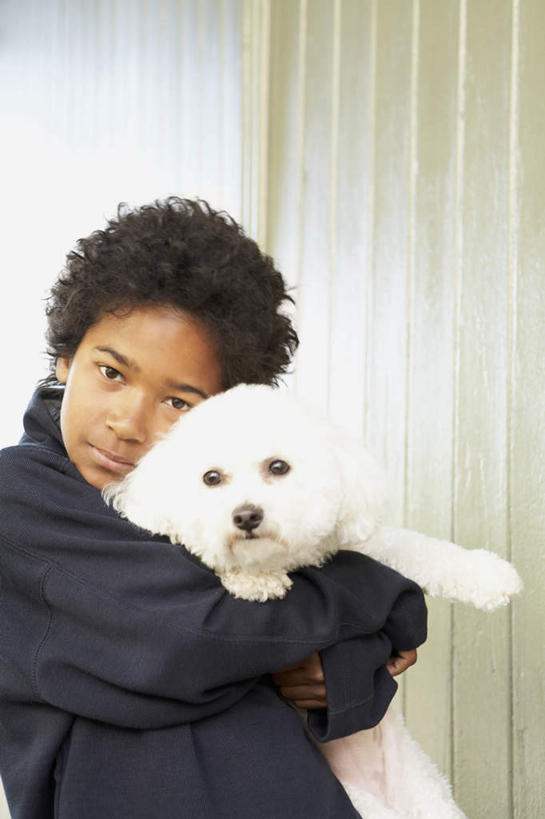 西方人,儿童,一个人,站,抱,竖图,室内,白天,侧面,纯洁,窗帘,宠物,狗,欧洲,非洲,黑人,欧洲人,仅一个男性,仅一个人,服装,装饰,注视,休闲装,一只,小孩,衣服,白色,帘子,动物,观察,看,靠,靠着,倚靠,站着,仅一个小孩,休闲,休闲服,遮阳,可爱,童年,童趣,服饰,抱着,观看,比熊,华丽,修饰,点缀,察看,搂着,倚着,关注,童真,烂漫,无邪,忠诚,衬托,美观,雅致,雅观,特内里费狗,特内里费犬,天真,男孩,男人,男性,非洲人,孩子,犬,搂,搂抱,站立,半身,彩图,比熊犬,男生