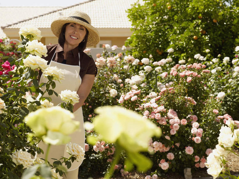 西方人,一个人,站,笑,微笑,露齿笑,横图,室外,白天,正面,爱情,幸福,纯洁,热情,花海,花圃,植物,玫瑰,帽子,叶子,欧洲,欧洲人,仅一个女性,仅一个人,阴影,服装,盛开,光线,草帽,围裙,影子,玫瑰花,浪漫,花蕾,注视,休闲装,花,花瓣,花朵,花卉,鲜花,树,树木,衣服,蓝色,绿色,蓝天,天空,阳光,自然,花丛,花束,花田,天,花苞,花蕊,观察,看,站着,仅一个中年女性,休闲,温暖,温馨,休闲服,恩爱,服饰,生长,晴朗,成长,观看,和睦,察看,关注,感动,万里无云,尊敬,天真,刺玫花,徘徊花,女人,女性,中年女性,白种人,晴空,晴空万里,站立,半身,彩图,绿玫瑰,融洽