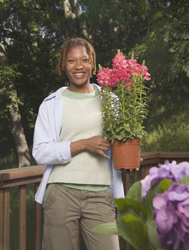 西方人,一个人,花匠,栏杆,站,笑,微笑,露齿笑,竖图,室外,白天,正面,爱情,植物,欧洲,非洲,黑人,欧洲人,仅一个女性,仅一个人,握,阴影,服装,盛开,光线,盆栽,影子,围栏,盆景,拿,花蕾,拿着,注视,休闲装,护栏,花,花瓣,花朵,鲜花,树,树木,衣服,红色,绿色,阳光,自然,花苞,花蕊,观察,看,站着,仅一个中年女性,休闲,休闲服,握着,服饰,生长,成长,观看,鸡冠花,察看,关注,鸡髻花,老来红,芦花鸡冠,真挚,坚贞,鸡公花,女人,女性,中年女性,非洲人,园丁,站立,半身,彩图