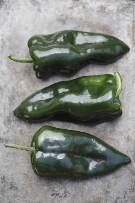 无人,竖图,俯视,室内,特写,白天,餐桌,桌子,辣椒,蔬菜,一排,阴影,新鲜,整齐,反射,影子,食品,食物,排列,三个,绿色,摄影,有机食品,绿色食品,影棚,餐台,队列,辣角,大椒,辣虎,广椒,墨西哥辣椒,辣子,海椒,番椒,彩图,高角度拍摄,影棚拍摄,拍摄,波布拉诺辣椒