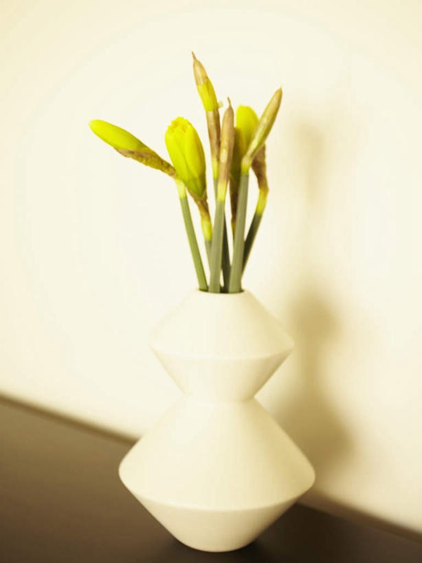 蝶泳,无人,家,室内,特写,白天,正面,智慧,别墅,家具,装修,建筑,水仙花,花瓶,欧式,阴影,艺术,装饰,盛开,反射,影子,陶瓷,房屋,墙,屋子,公寓,陶瓷制品,豪华,花蕾,文化,建设,现代,装潢,洋房,楼房,墙壁,墙面,住宅,花,花瓣,花朵,鲜花,一个,白色,插花,瓶子,室内装潢,花苞,花蕊,单个,华丽,修饰,插花艺术,样板房,明亮,点缀,创造,舒适,家居装潢,创作,房屋设计,地中海风格,古典风格,简约风格,想象,室内设计,宽敞,样板房装潢,金盏银台,玉玲珑,女史花,雅蒜,天蒜,衬托,美观,雅致,雅观,黄水仙,凌波仙子,水仙,天葱,五色水仙,洋水仙,设计,彩图,房子