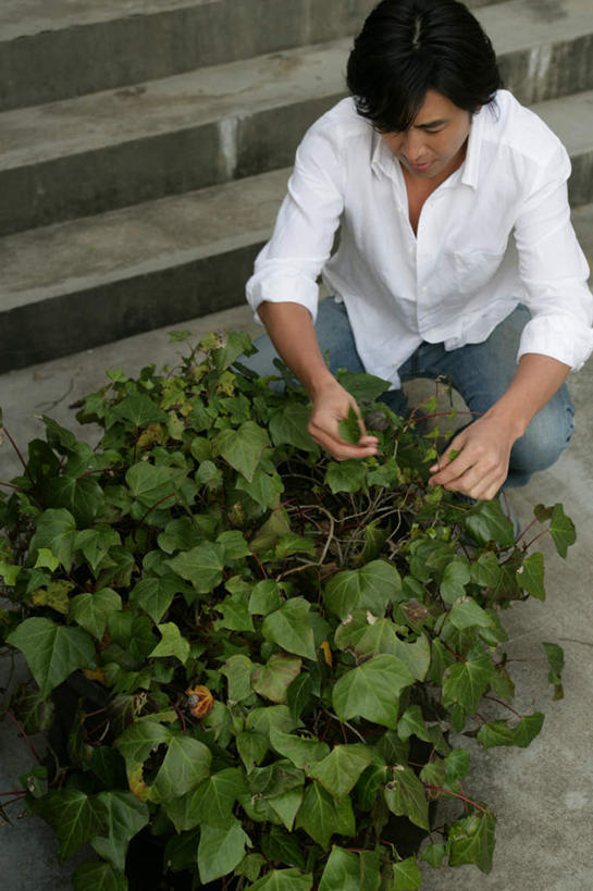 东方人,一个人,蹲,摸,竖图,俯视,室外,白天,植物,楼梯,叶子,亚洲,仅一个男性,仅一个人,抚摸,服装,裤子,昆虫,盆栽,纹理,阶梯,绿叶,盆景,注视,牛仔裤,休闲装,黄种人,台阶,仅一个年轻男性,衣服,绿色,自然,动物,观察,看,休闲,休闲服,嫩叶,服饰,毛毛虫,生长,成长,观看,察看,关注,肌理,害虫,毛虫,男人,男性,年轻男性,亚洲人,叶,叶片,叶脉,触摸,蹲着,接触,彩图,高角度拍摄,全身