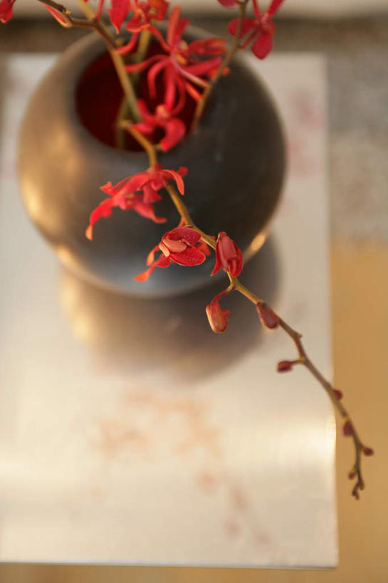 无人,竖图,俯视,室内,特写,白天,智慧,植物,桌子,花瓶,朦胧,模糊,艺术,盛开,木制,陶瓷,枝条,陶瓷制品,花蕾,茶几,文化,花,花瓣,花朵,鲜花,树,树木,树枝,红色,插花,木制品,瓶子,花苞,花蕊,插花艺术,创造,创作,想象,虬枝,枝杈,彩图,高角度拍摄