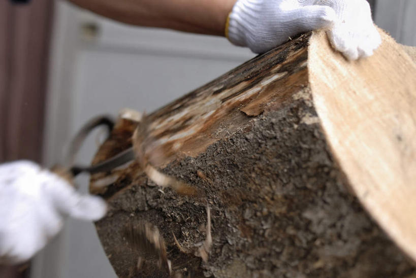 东方人,手,一个人,木匠,横图,室内,特写,白天,正面,安全,金属制品,亚洲,双手,仅一个男性,仅一个人,仅一个中年男性,握,朦胧,模糊,金属,工具,树桩,刀具,防护,拿,拿着,黄种人,树,树干,一个,手套,刀,手部,木桩,握着,单个,保护,保险,削皮器,保全,周全,安稳,安定,防护手套,去皮,平安,男人,男性,中年男性,亚洲人,木工,半身,彩图