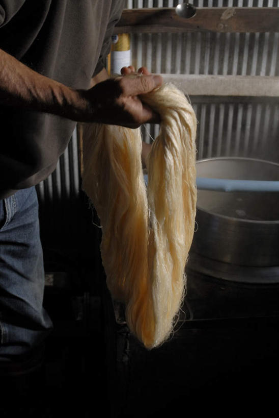 东方人,一个人,工厂,站,竖图,室内,白天,侧面,工作服,制服,车间,亚洲,仅一个男性,仅一个人,仅一个中年男性,握,编织,蒸汽,蚕丝,织物,拿,拿着,黄种人,纺织,站着,握着,丝线,工作制服,男人,男性,中年男性,亚洲人,站立,半身,彩图,工作套服,制造厂