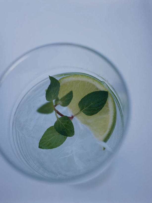 无人,竖图,俯视,室内,特写,白天,白色背景,桌面,桌子,杯子,水果,叶子,阴影,新鲜,反射,木制,影子,生食,食品,果实,绿叶,酒类,玻璃制品,酒,食物,饮料,一个,木制品,水杯,嫩叶,杜松子酒,摄影,有机食品,绿色食品,影棚,单个,苏打,金酒,酸橙,代代,烈酒,琴酒,碳酸钠,化学物质,纯碱,碱面,叶,叶片,玻璃杯,橙子,橙,彩图,高角度拍摄,影棚拍摄,拍摄