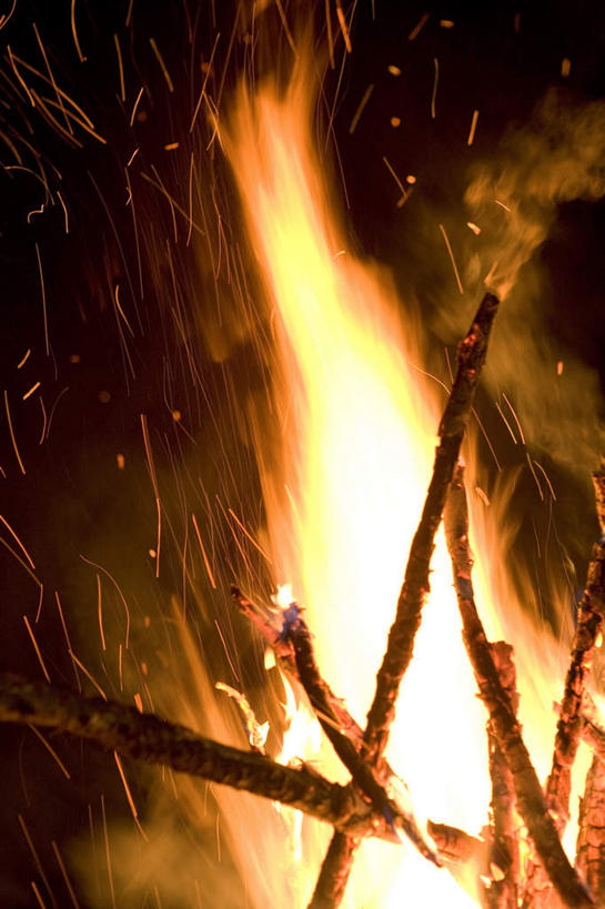 无人,竖图,室外,夜晚,正面,热情,植物,火,阴影,反射,火焰,木材,影子,枝条,燃烧,木柴,树,树木,树枝,木料,篝火,露营,野营,宿营,虬枝,枝杈,彩图