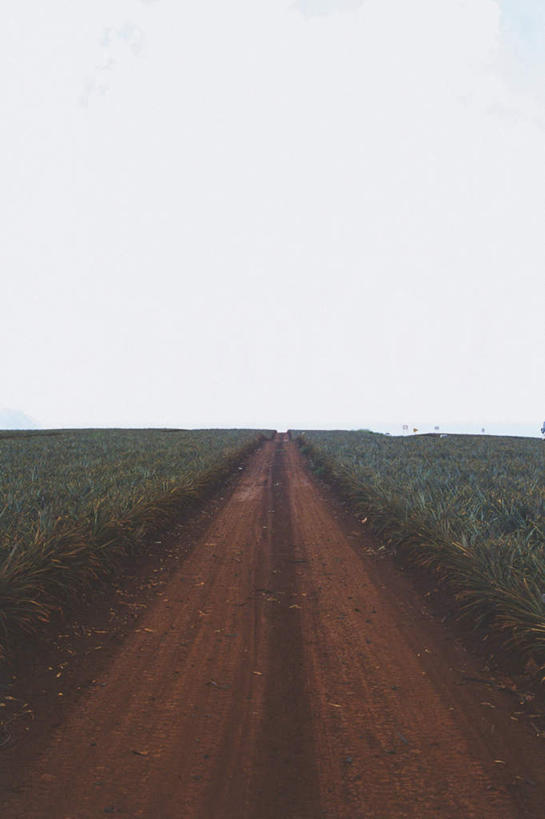 无人,竖图,室外,白天,正面,消失点,旅游,度假,草地,草坪,岛屿,美景,植物,道路,路,夏威夷,美国,地平线,景观,小路,辽阔,地面,交通,痕迹,娱乐,草,绿色,自然,享受,休闲,广阔,景色,放松,一望无际,北美,北美洲,自然风光,延伸,美洲,夏威夷岛,夏威夷州,爱洛哈之州,天地相交,北亚美利加洲,亚美利加洲,大岛,无边无际,一马平川,列岛,群岛,诸岛,彩图