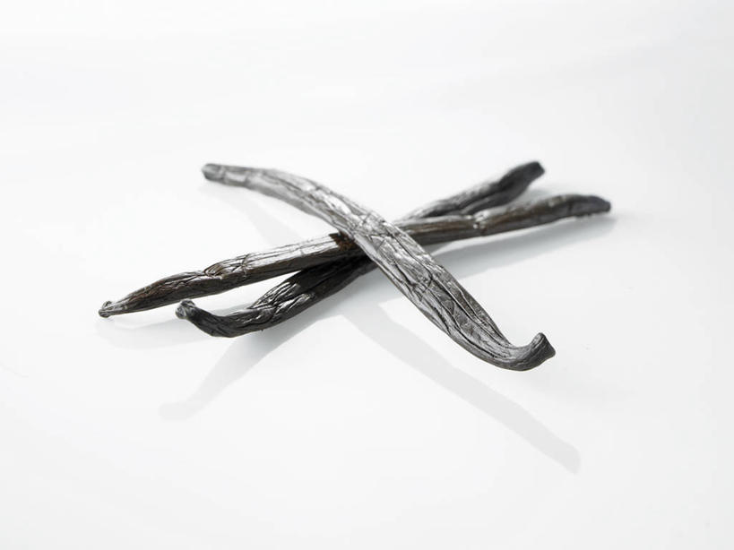 无人,横图,俯视,室内,特写,白天,白色背景,植物,餐桌,桌子,三根,阴影,反射,影子,草药,药草,中药,黑色,清热,摄影,影棚,餐台,药材,中草药,香草兰,中药材,本草,解毒,婆绒花,山薄荷,石母草,彩图,高角度拍摄,影棚拍摄,拍摄