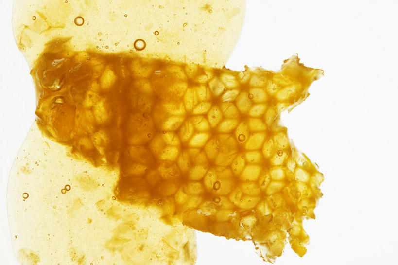 蜂蜜,无人,横图,俯视,室内,特写,白天,白色背景,阴影,反射,蜂巢,蜂窝,影子,背光,金色,摄影,影棚,逆光,花蜜,止痛,解毒,冬酿,石蜜,彩图,高角度拍摄,影棚拍摄,拍摄